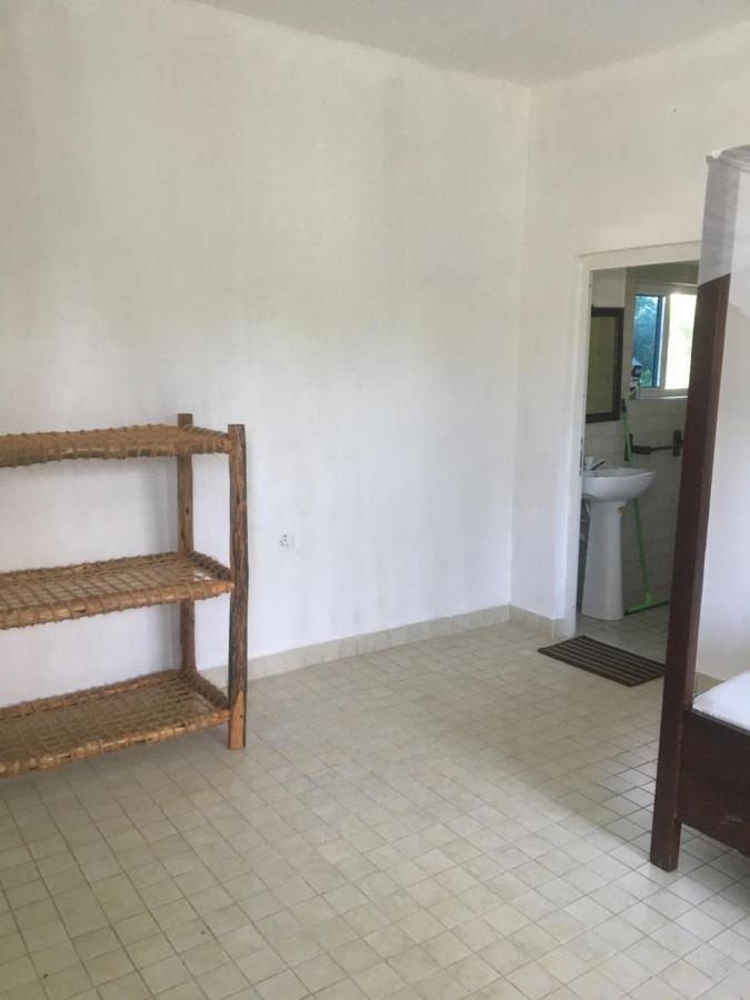 Tayana Place Daire Kizimkazi Dış mekan fotoğraf